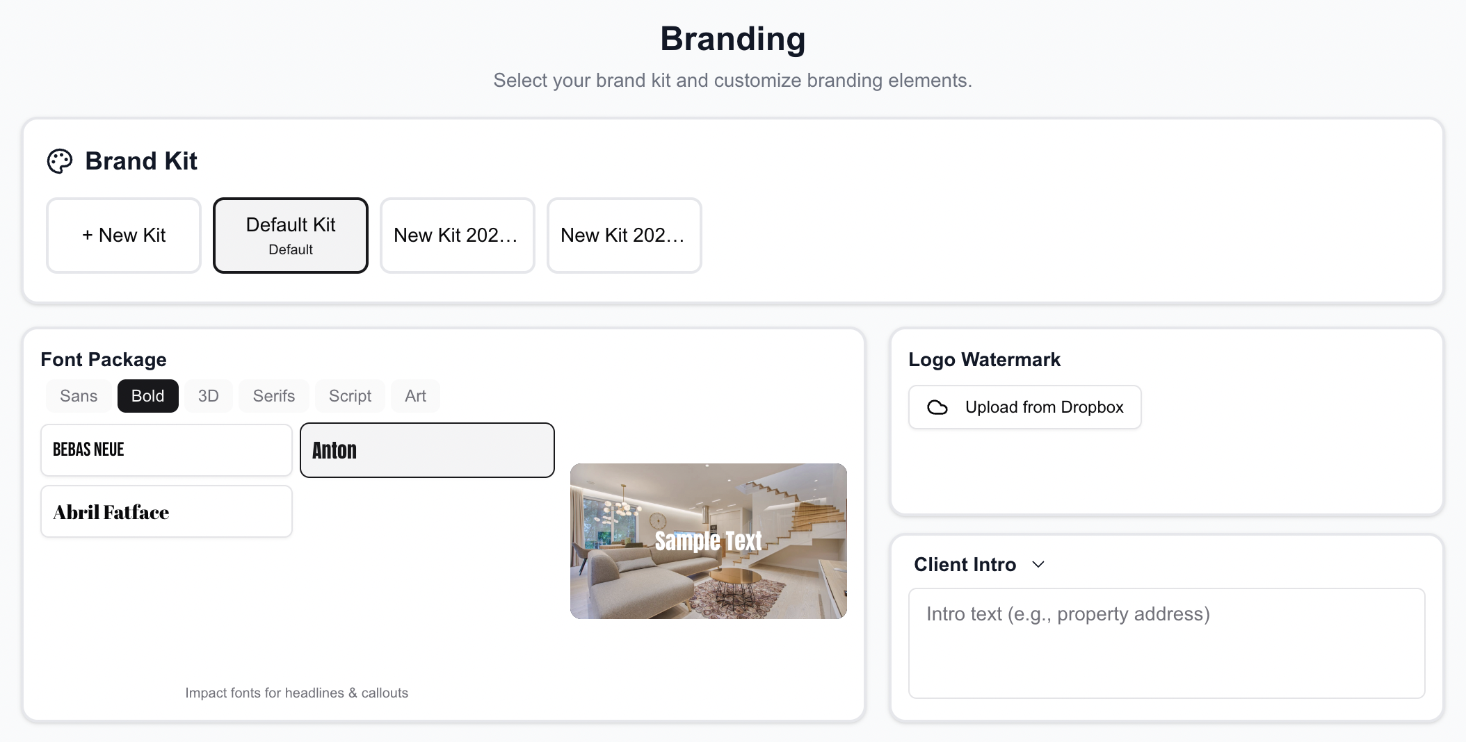 VideoGuru brand kit setup